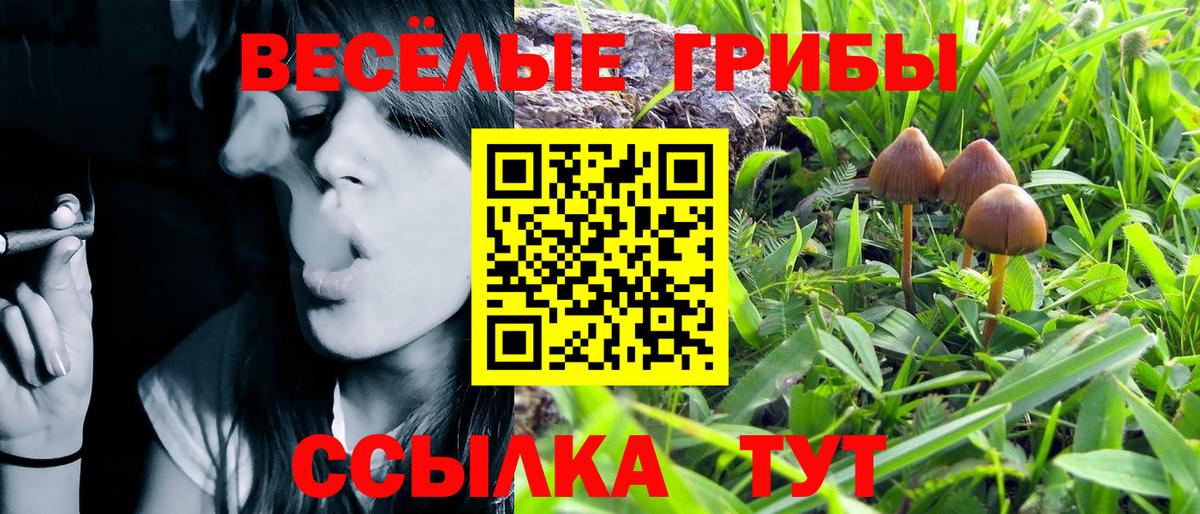 Волгоград  Галлюциногенные грибы MAGIC MUSHROOMS  цены наркотик  Вход с VPN 