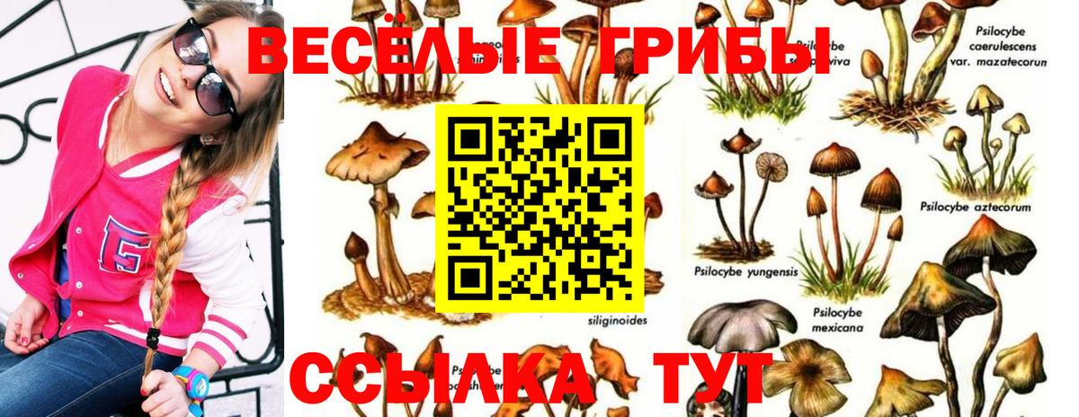 Галлюциногенные грибы мицелий Волгоград